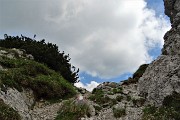 CORNA GRANDE (2089 m) ai Piani di Bobbio da Ceresola di Valtorta il 15 giugno 2018- FOTOGALLERY